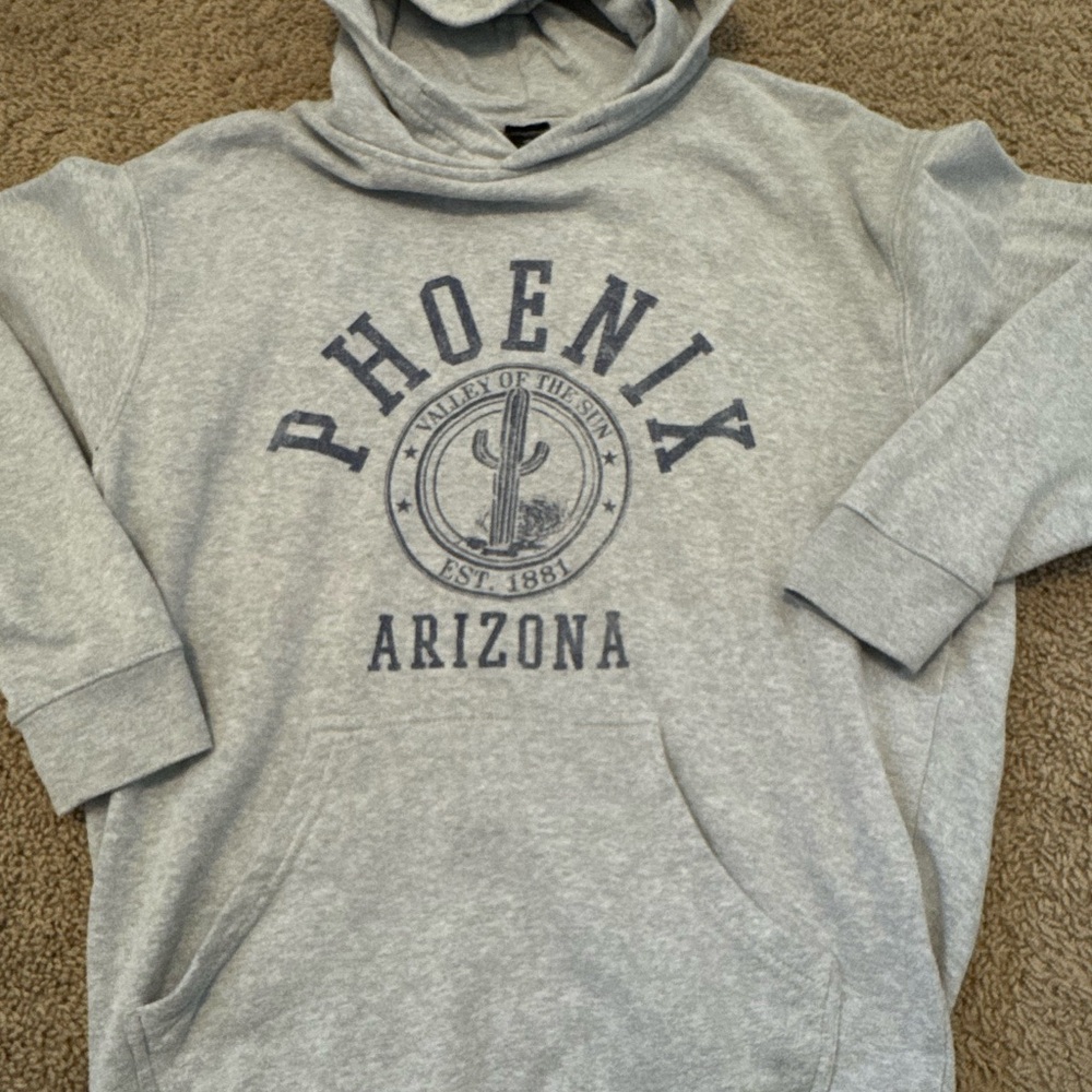Gray Phoenix Arizona Hoodie